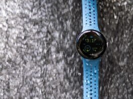 Pixel Watch 2